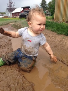 Grady mud